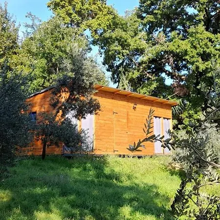 Agricampeggio La Casa Di Nicla Kamp alanı