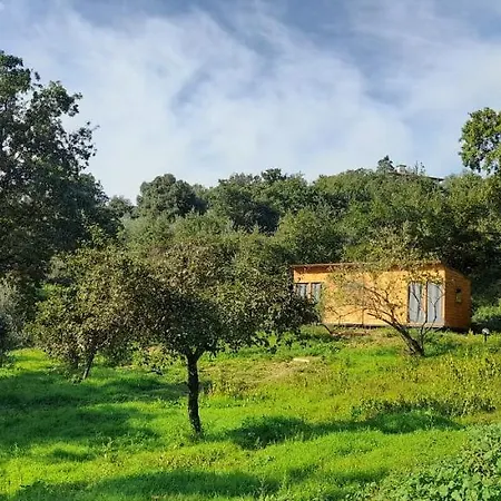Kamp alanı Agricampeggio La Casa Di Nicla Cavriglia