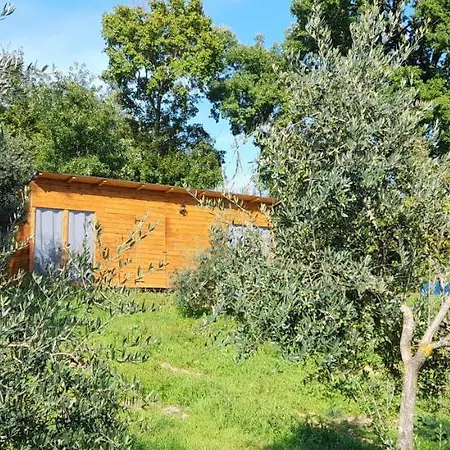 Agricampeggio La Casa Di Nicla Kamp alanı Cavriglia